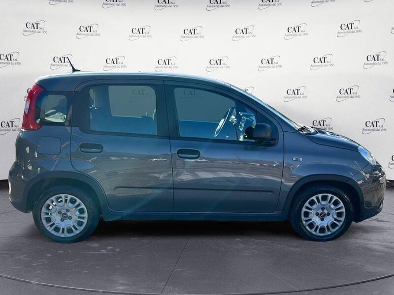 FIAT Panda Panda 1.0 FireFly Hybrid