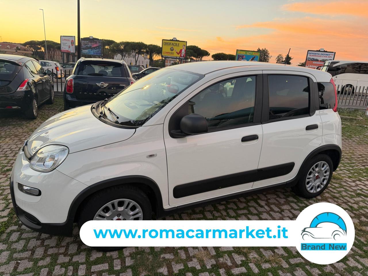 FIAT Panda van 1.0 hybrid Street 70cv 4p.ti serie AUTOCARRO4 E6d