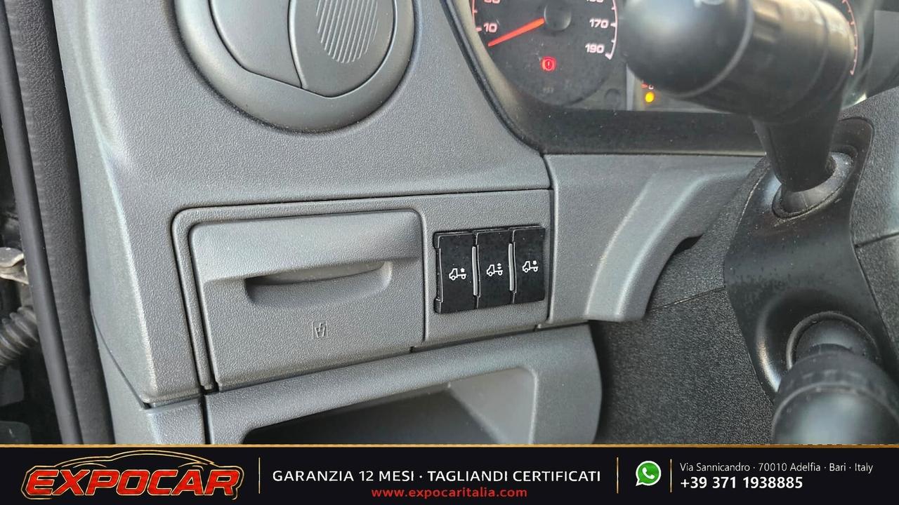 Iveco Daily - Trasporto Cavalli