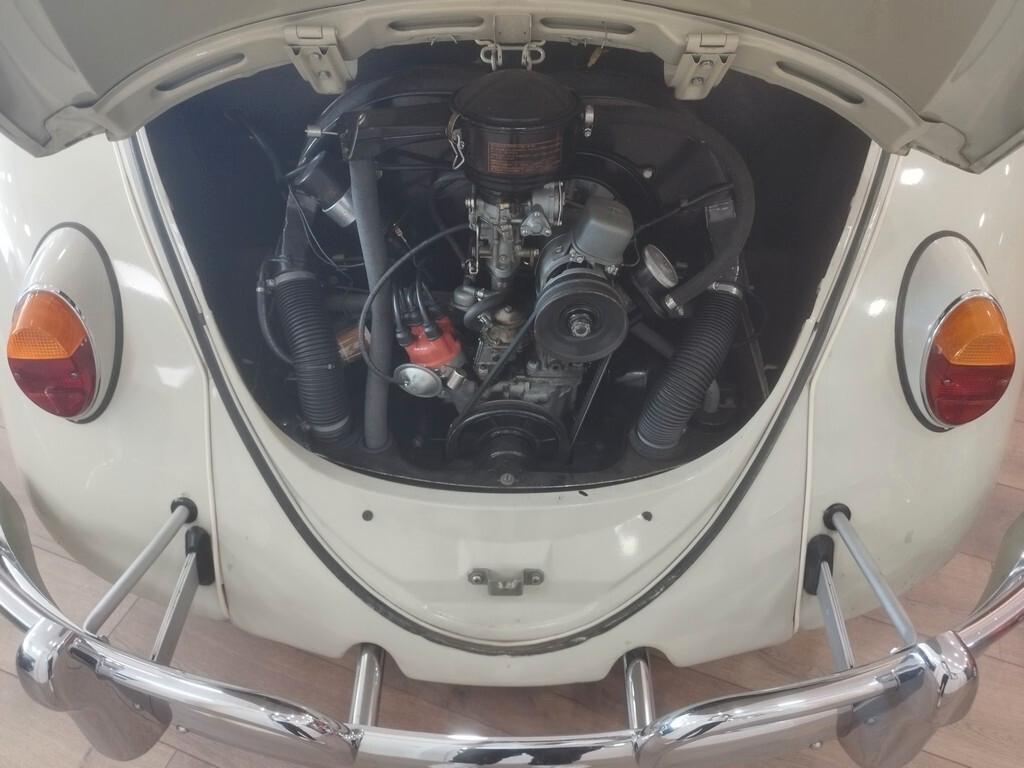 Volkswagen Maggiolino 6 volt vetro piatto ASI + CRS