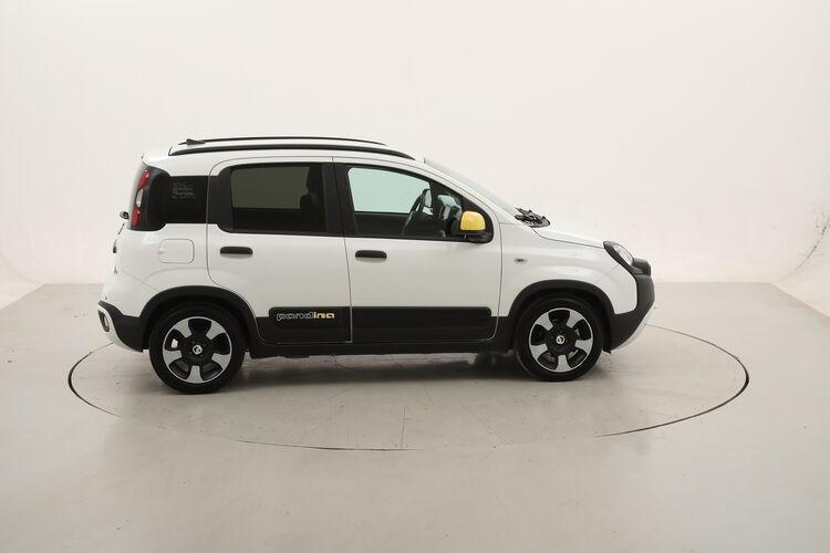 Fiat Panda Hybrid Pandina Cross BR498481 1.0 Mild Hybrid 70CV