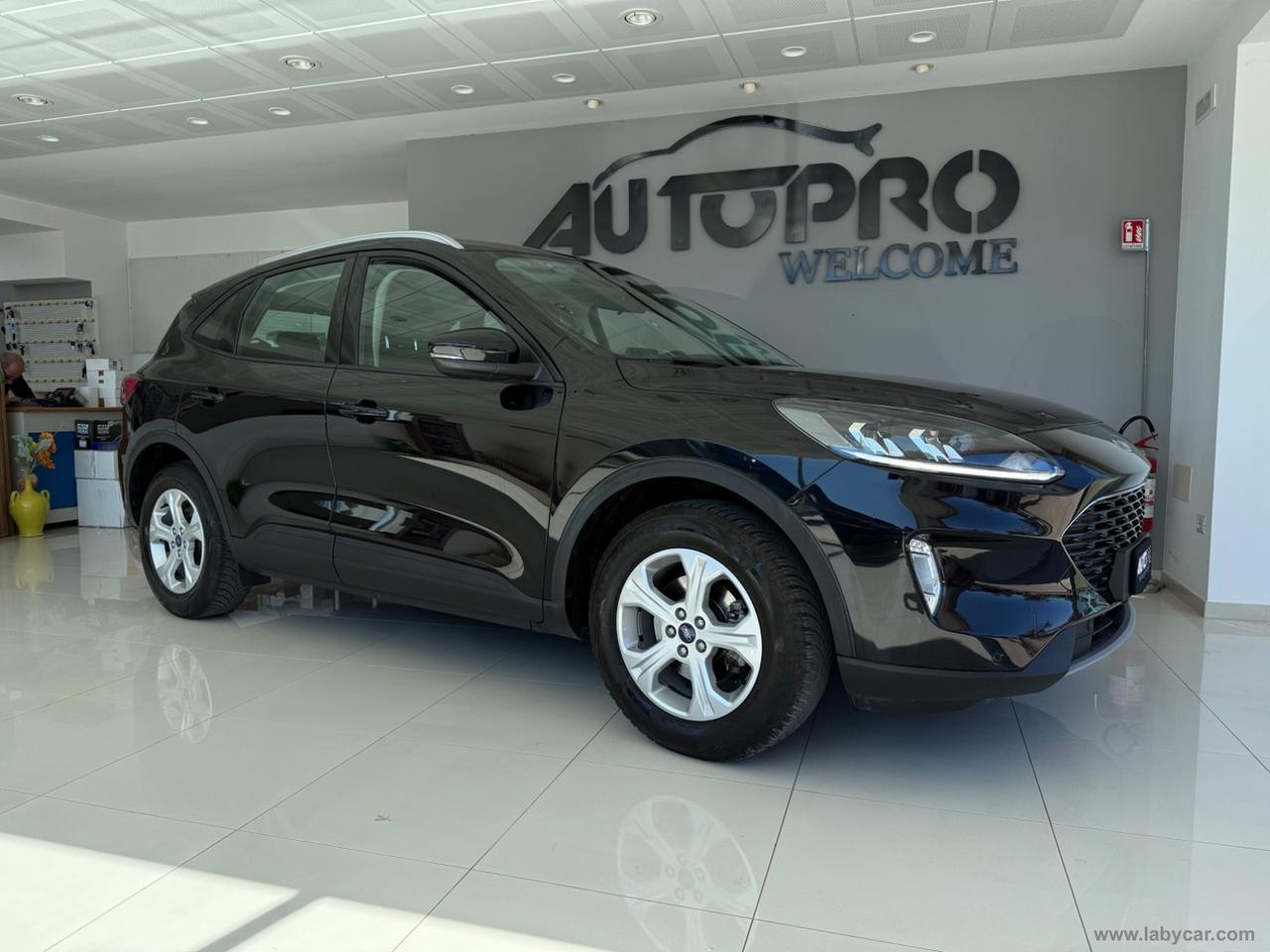 FORD Kuga 1.5 EcoBlue 120 CV 2WD Connect