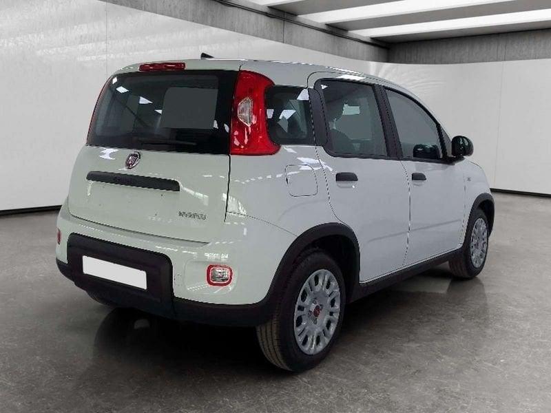 FIAT Panda 1.0 firefly hybrid s&s 70cv