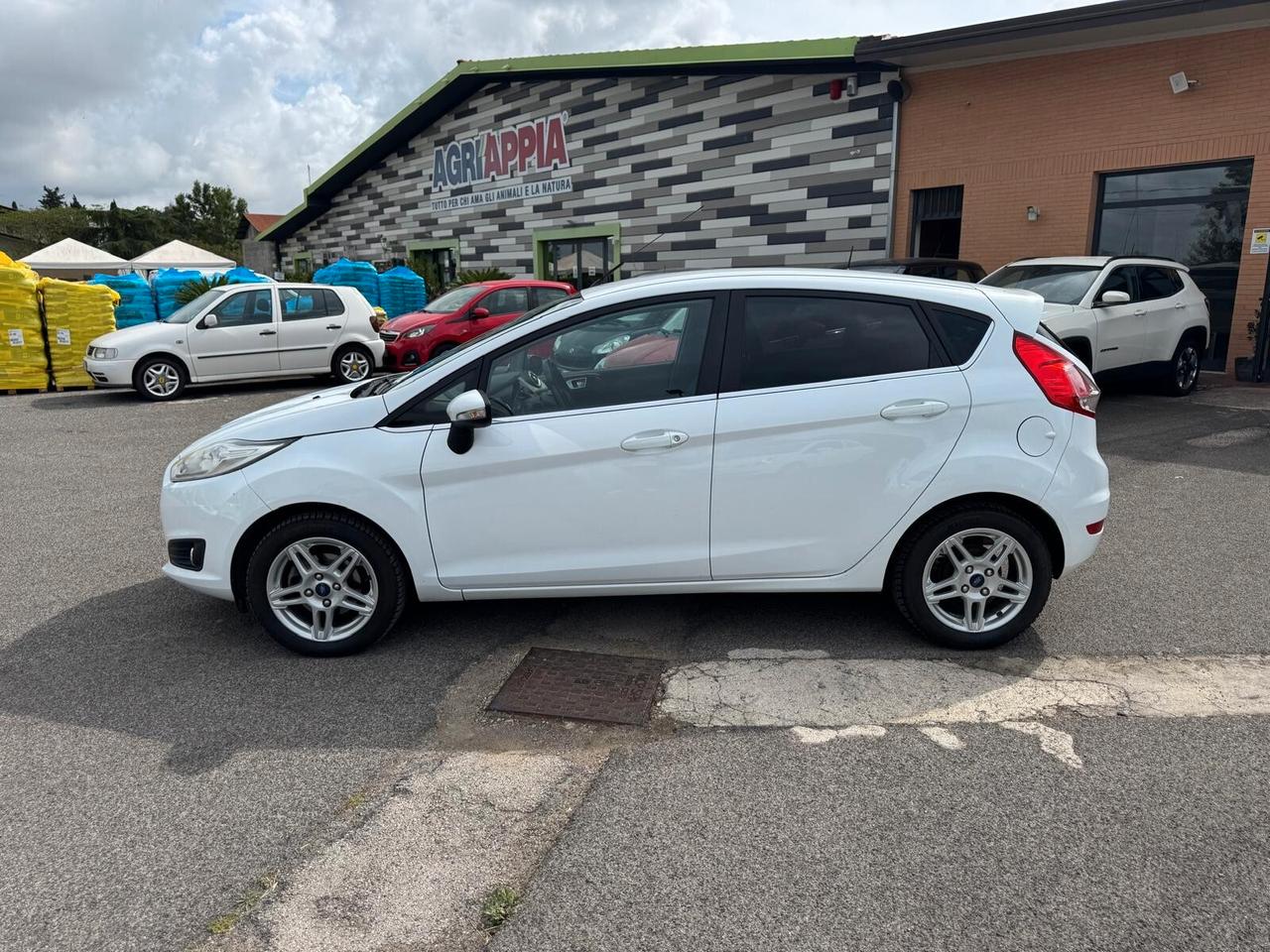 Ford Fiesta 1.4 GPL (SCADENZA 2034) 5P TITANIUM 2014