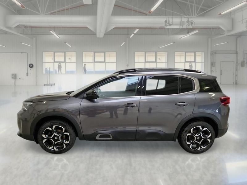 CITROEN C5 AIRCROSS BLUEHDI 130 CV SES SHINE EAT8 SUV