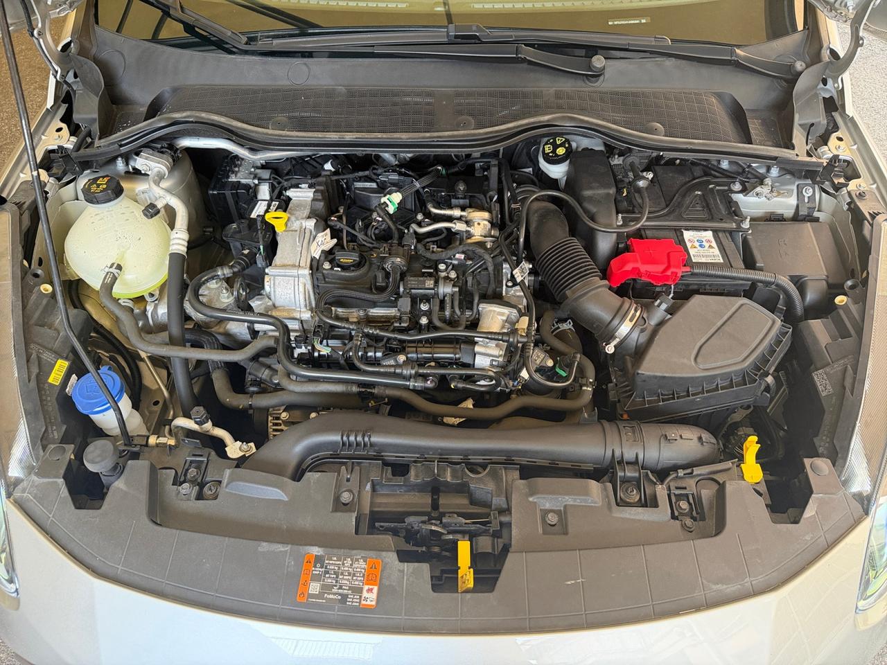 Ford Fiesta 5 Porte Fiesta 5p 1.0 ecoboost Hybrid Titanium 125cv