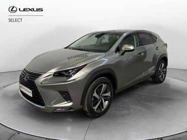 Lexus NX Hybrid 4WD Luxury