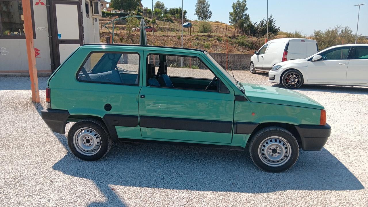 Fiat Panda 900 i.e. cat Young