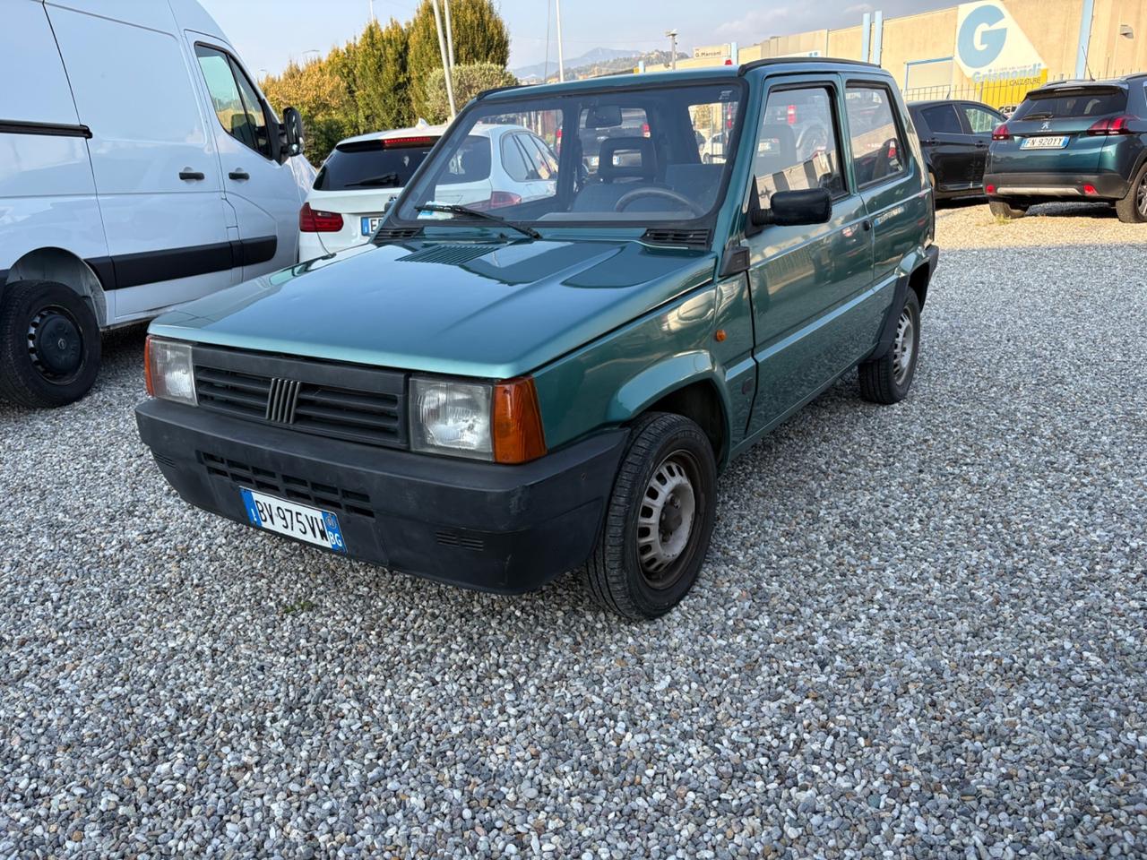 Fiat Panda 1100 i.e. cat Young