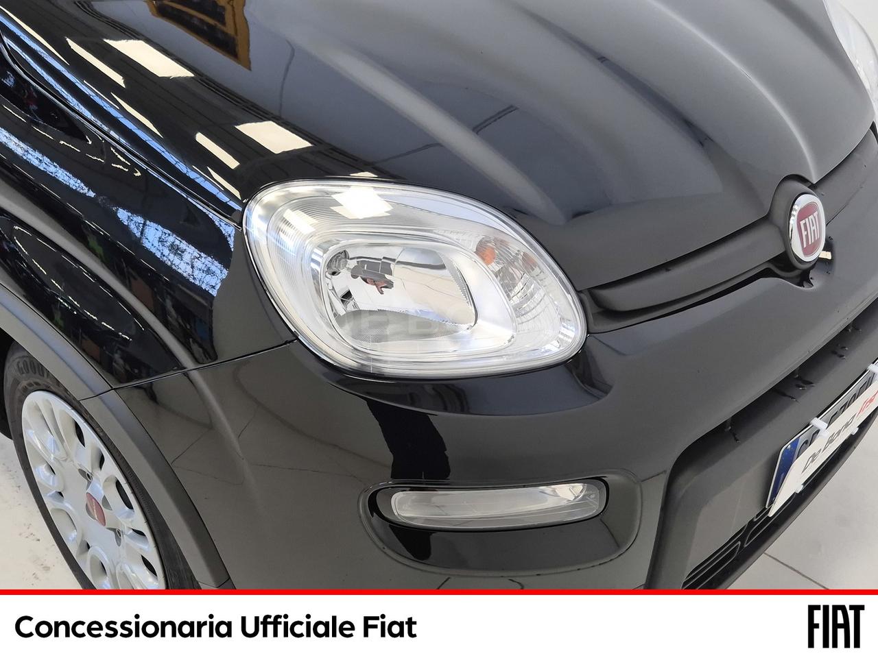 Fiat Panda 1.0 firefly hybrid s&s 70cv