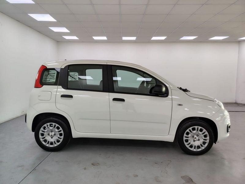 FIAT Pandina 1.0 firefly hybrid Icon s e s 70cv