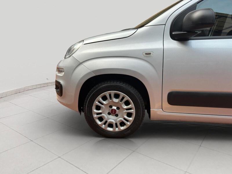 FIAT Panda 3ª serie Panda 1.2 Easy