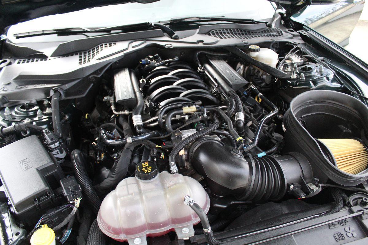 FORD - Mustang - Fastback 5.0 V8 TiVCT GT Bullitt