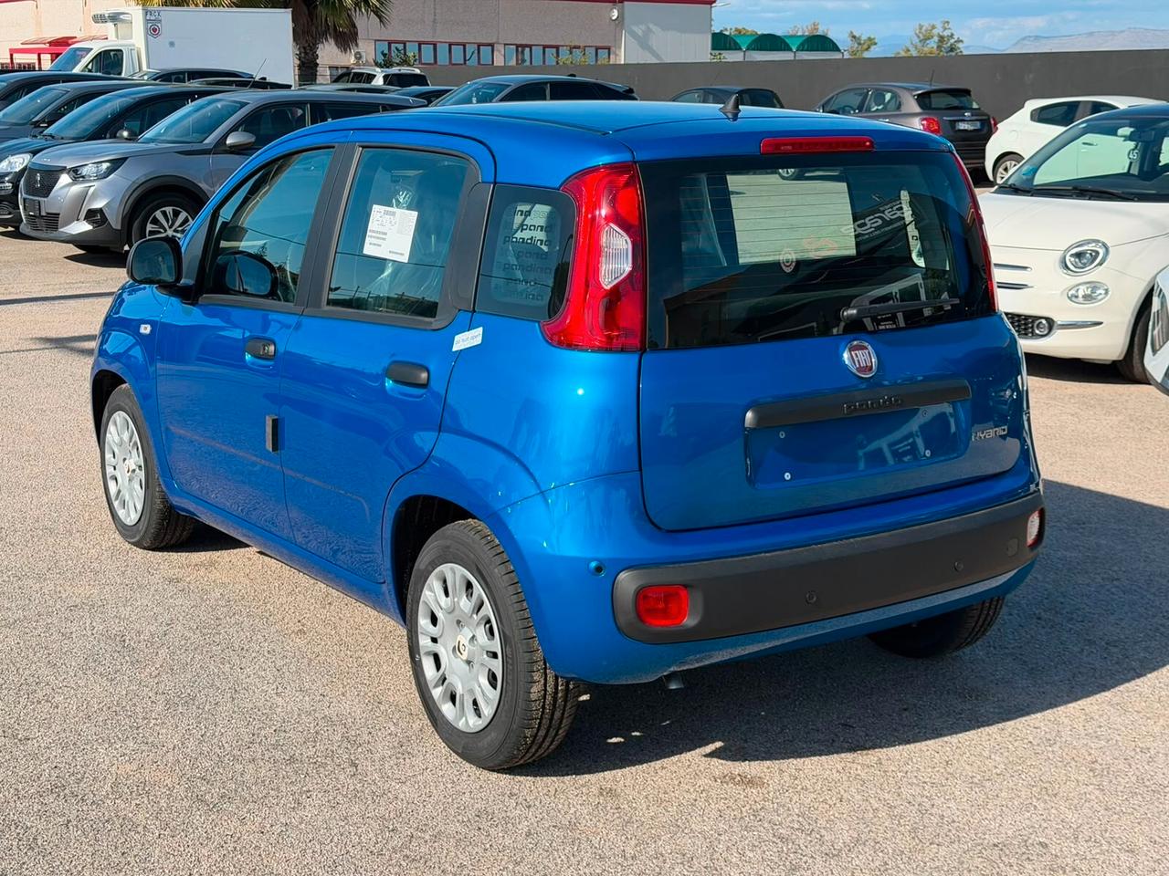 Fiat Panda Pandina 1.0 FireFly 65 CV Hybrid Pop