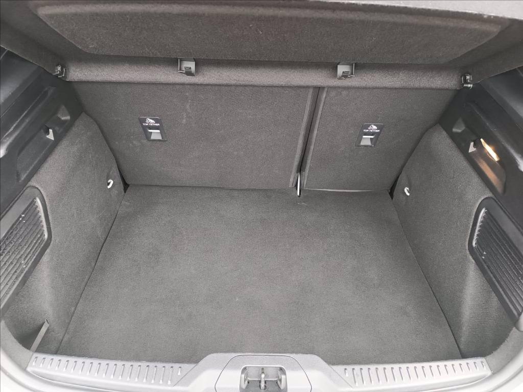 FORD Focus 1.0t ecoboost h ST-Line 125cv del 2024