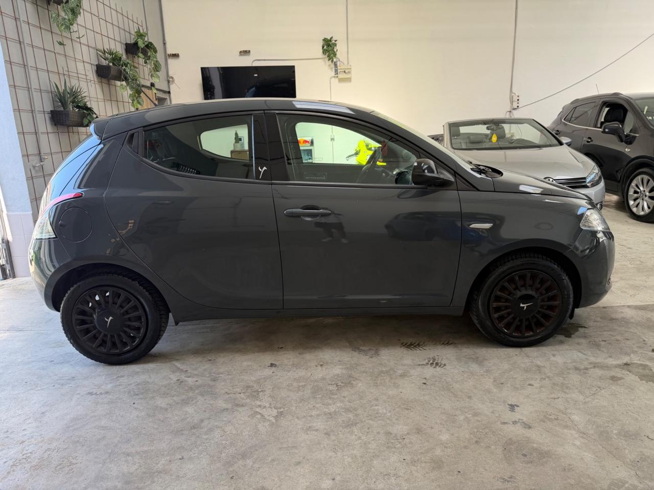 Lancia Ypsilon 1.2 69 CV 5 porte Gold