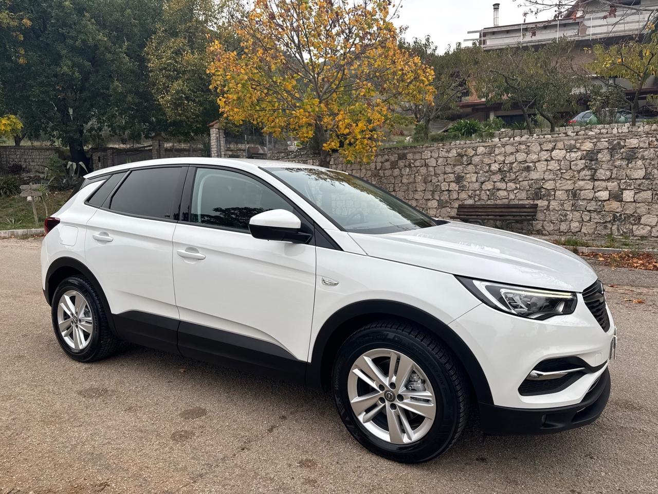 Opel Grandland X 1.5 diesel Ecotec Start&Stop Business