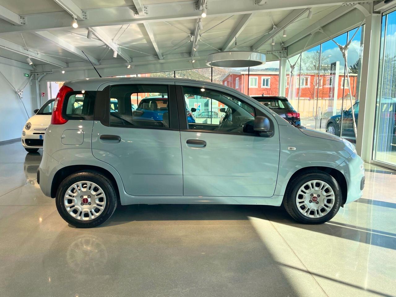 Fiat Panda 1.0 FireFly S&S Hybrid *PREZZO REALE*