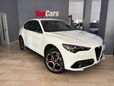 Alfa Romeo Stelvio 2.2 Q4 210 CV AT8 Veloce