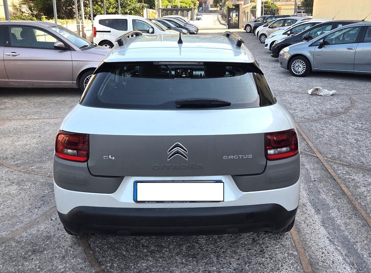 Citroen C4 Cactus BlueHDi 100 GARANZIA 12 MESI