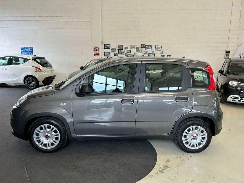 FIAT Panda 1.0 FireFly S&S Hybrid - PROMO SIRONIAUTO+