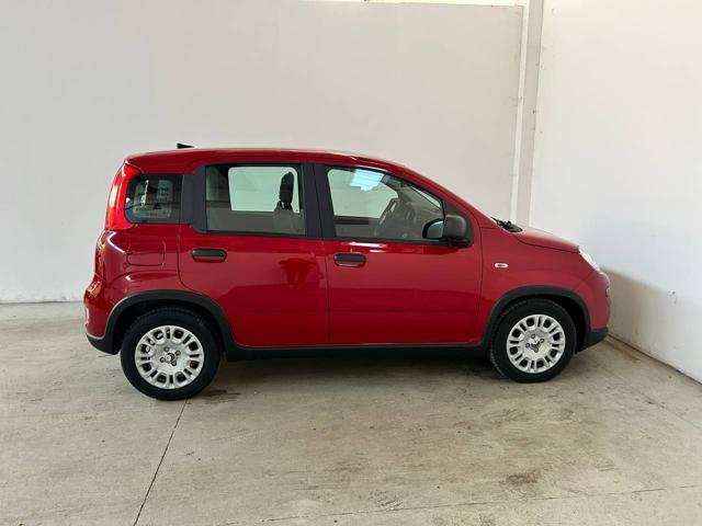 FIAT Panda 1.0 FireFly S&S Hybrid PREZZO VERO