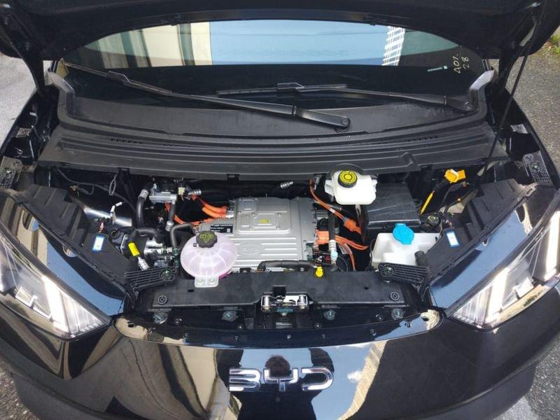 BYD Dolphin Surf Comfort