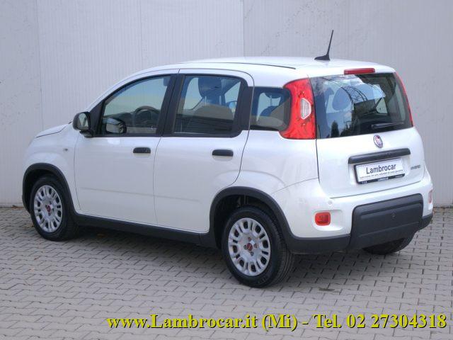 FIAT Panda 1.0 FireFly S&S Hybrid 70cv