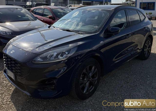 FORD Kuga 1.5 EcoBlue 120 CV 2WD Titanium Business