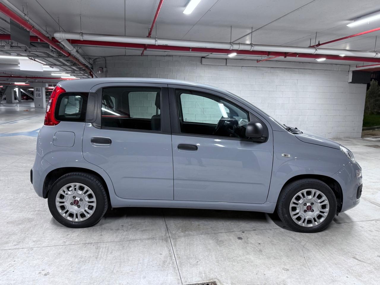 Fiat Panda 1.2 Easy UNICO PROP. - ZERO SINISTRI