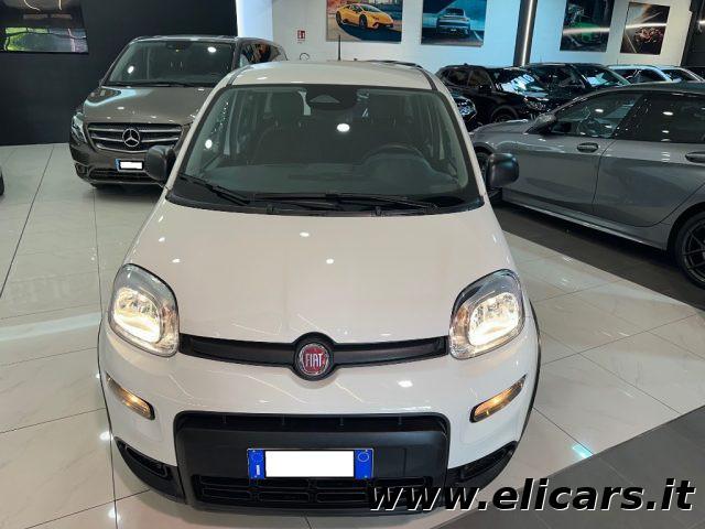 FIAT Panda 1.0 FireFly S&S Hybrid Pandina