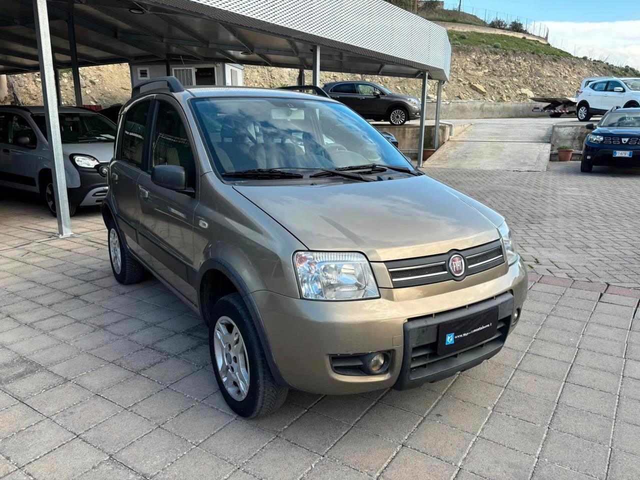 Fiat Panda 1.3 4x4 - 2008