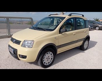 FIAT Panda 2ª serie - Panda 1.2 4x4 Climbing