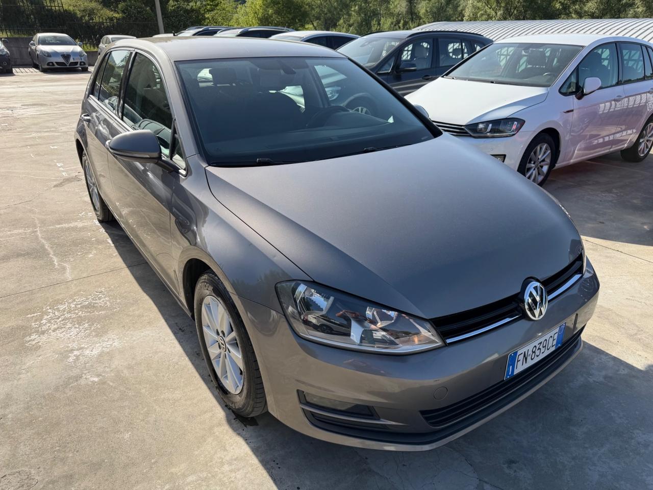 Vw Golf 1.6 TDI 110 CV Comfortline BlueMotion Technology