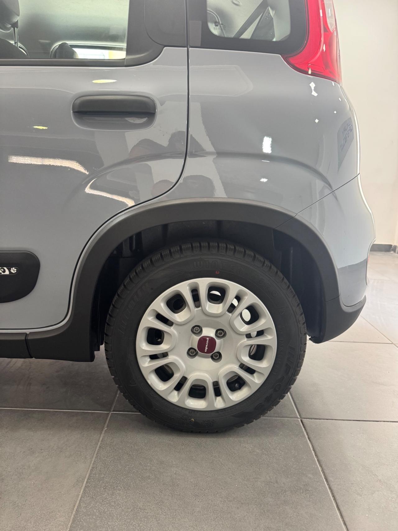 Fiat Panda 1.0 FireFly S&S Hybrid