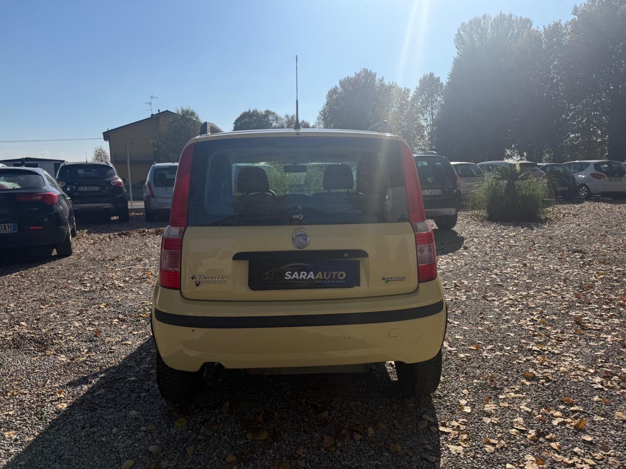 Fiat Panda 1.2 Dynamic Natural Power