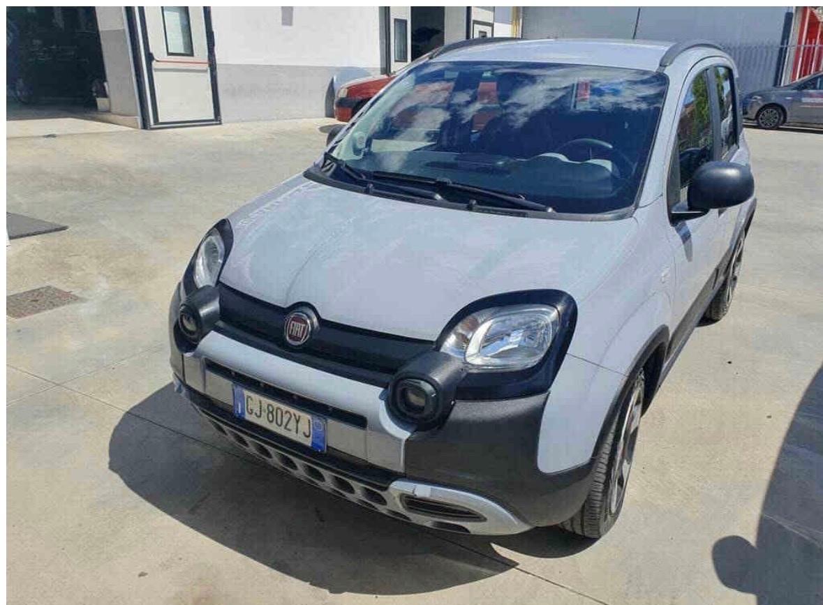 Fiat Panda 1.0 FireFly S&S Hybrid City Cross-2022