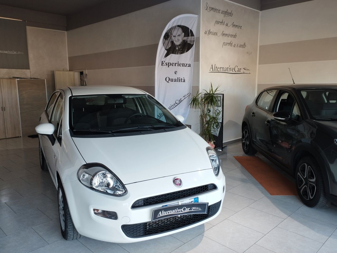 Fiat Punto 1.3 MJT II S&S 95 CV 5 porte Street