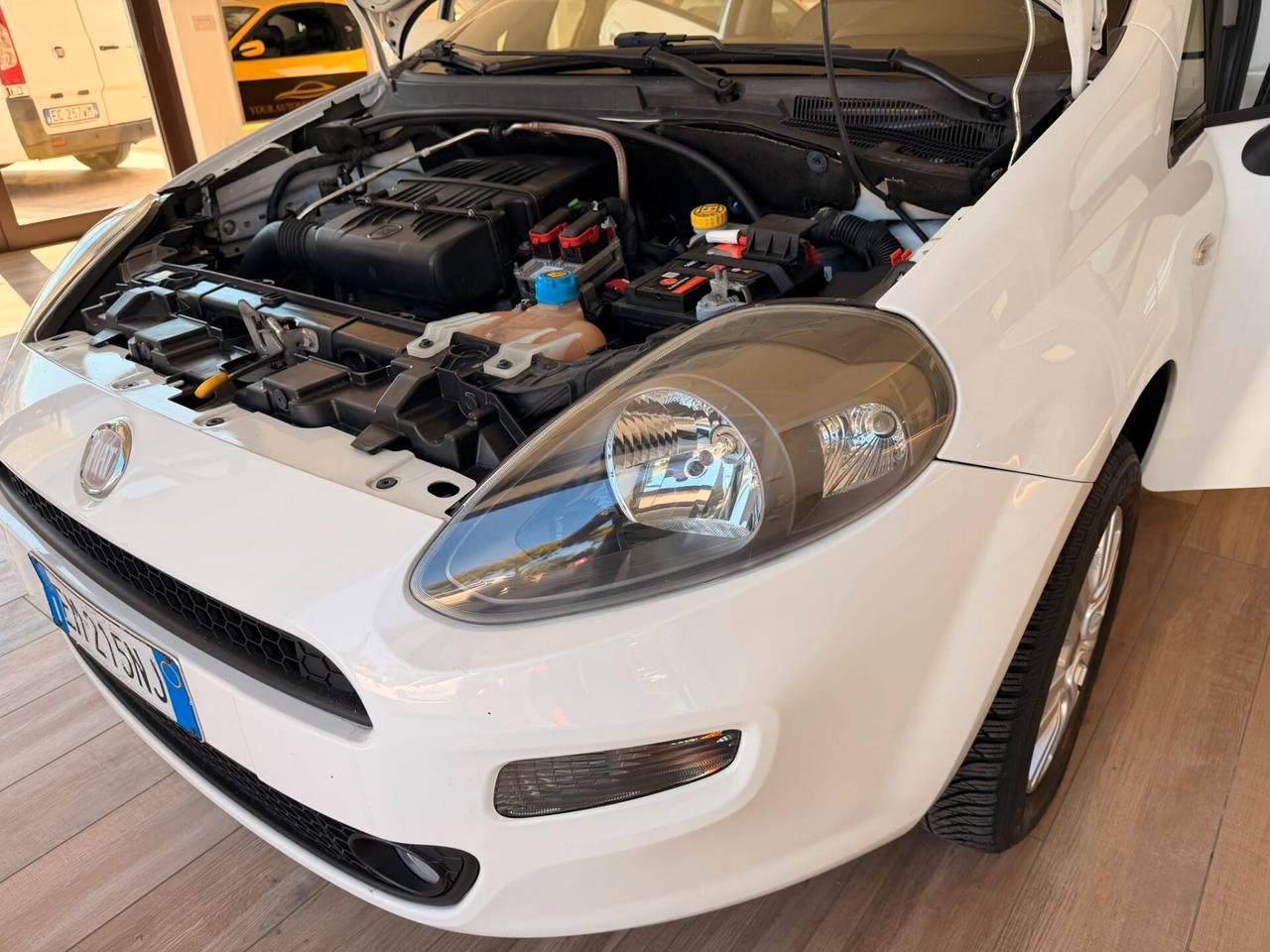 Fiat Punto 1.4 8V 5 porte Natural Power Pop