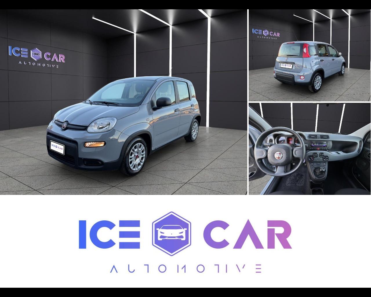 FIAT Panda 3ª serie - Panda 1.0 FireFly S&S Hybrid