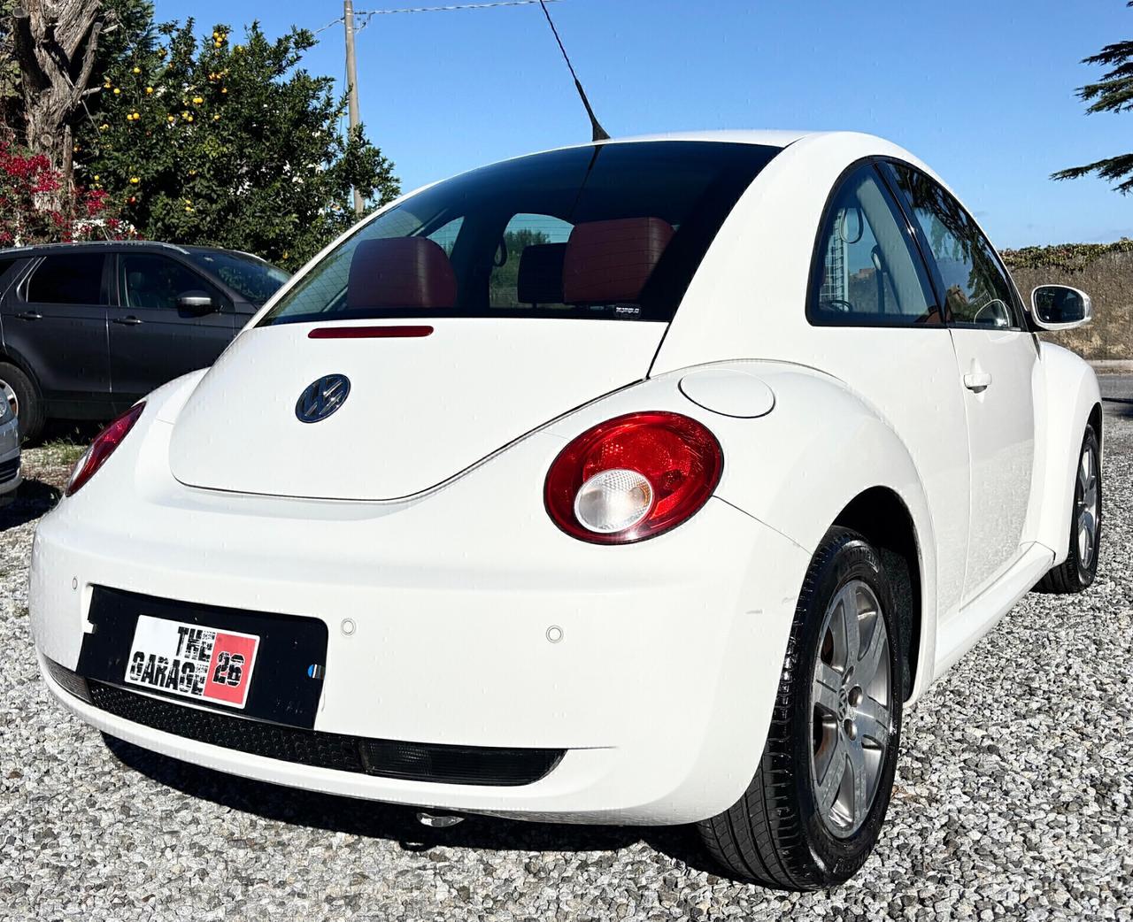 Volkswagen New Beetle 1.9 TDI 105CV