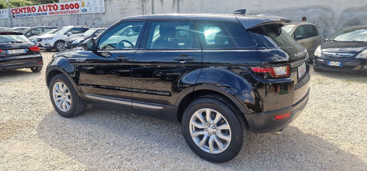 LAND ROVER - Range Rover Evoque 2.0 TD4 150CV 5p. Business Edition Pure