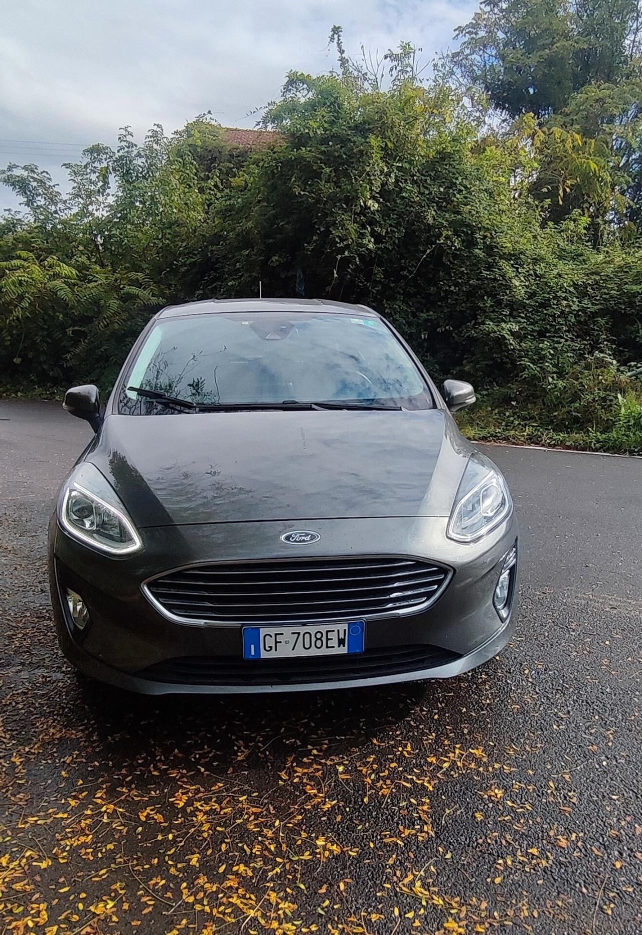 Ford Fiesta 1.0 benzina Ecoboost Hybrid 125 CV 5 porte/autocarro 4 posti