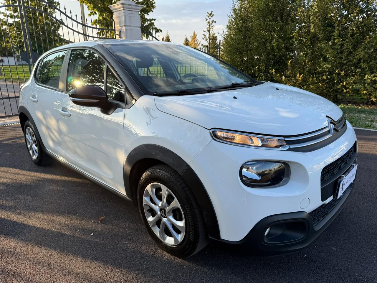 Citroen C3 BlueHDi 100 S&S Van Feel