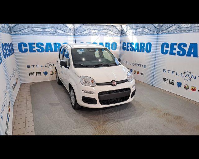 FIAT Panda 1.0 firefly hybrid Icon s&s 70cv 5p.ti