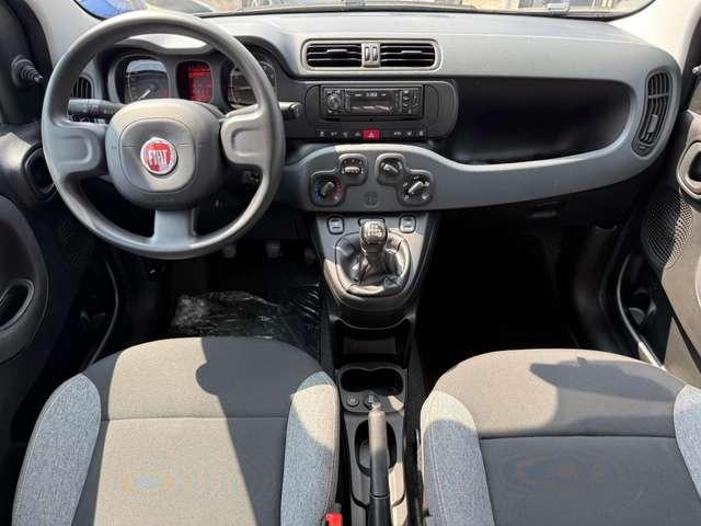 Fiat Panda Panda 1.0 firefly hybrid*GPL 24 MESI DI GARANZIA*