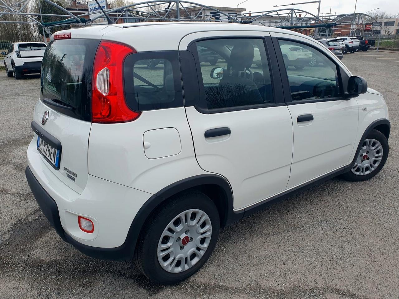 Fiat Panda 1.0 FIRE FLY 69 CV