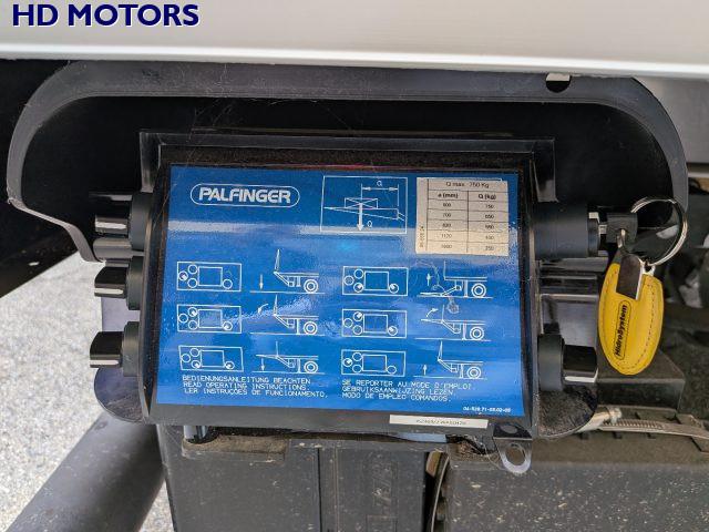 FORD Transit 350 2.0 HDT 130CV RWD PL Furgonato Sponda