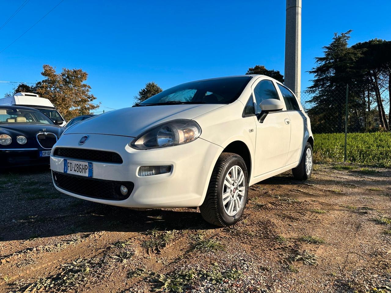 Fiat Punto 1.4 8V 5 porte Natural Power Lounge