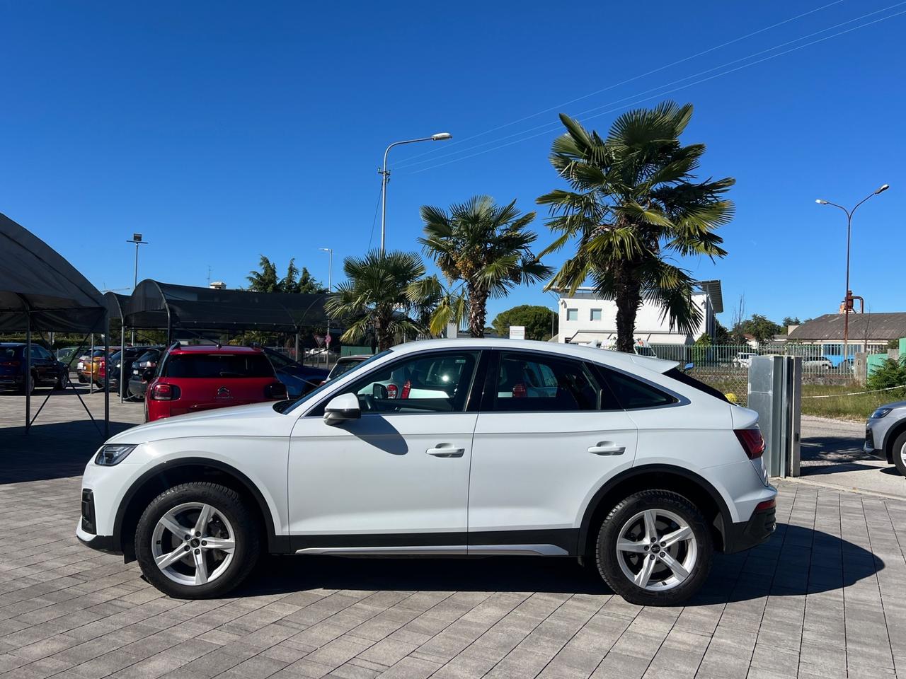 Audi Q5 SPB 35 TDI S tronic Business Advanced